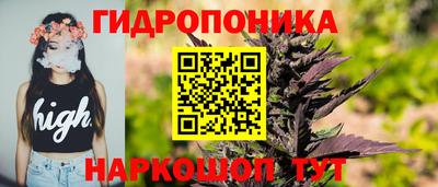 гашик Нарткала