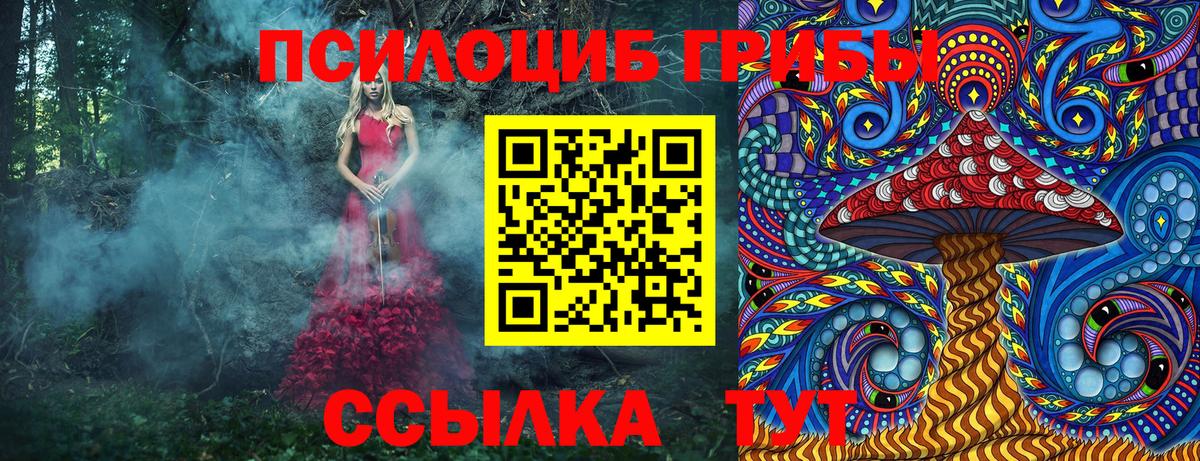 Черкесск  Галлюциногенные грибы ЛСД  Псилоцибиновые грибы Psilocybine cubensis  Вход с VPN 